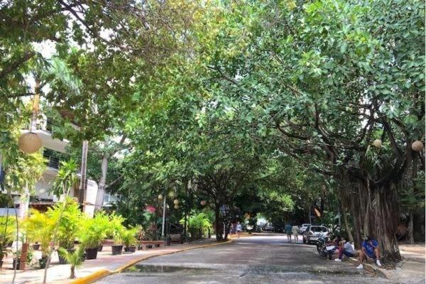 Charming 1 Bedroom Near 5th Ave - Lcondos 202 * Playa del Carmen